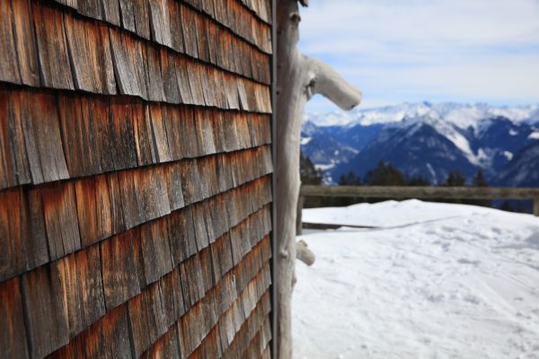 Cedar Siding Repair in Rochester