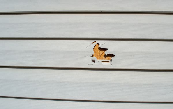 Siding Hole Patching in Rochester