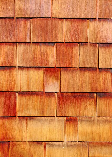 Cost of Wood Siding Replacement in Rochester